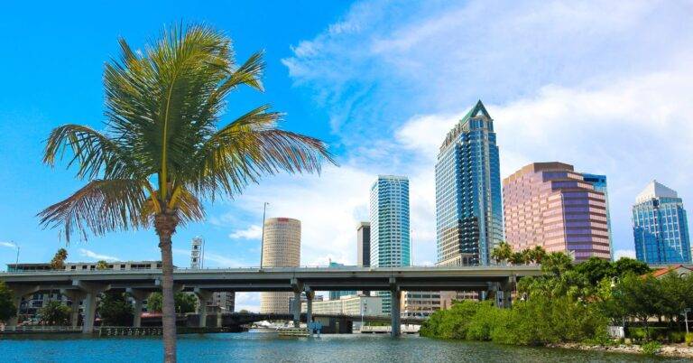Tampa's Skyline