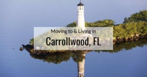Carrollwood city realtor - TheAlexAlvarezRealtor - TheAlexAlvarezRealtor Carrollwood city realtor